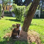 Mama' Πανσιόν