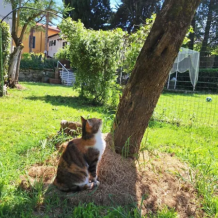Mama' Pensjonat